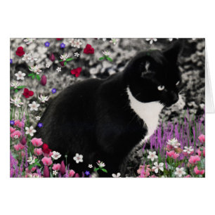 Pecas en flores II - gato del smoking