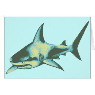 peces de tiburón, animales salvajes