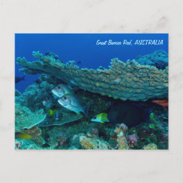 Peces tropicales de la postal del Mar de Coral
