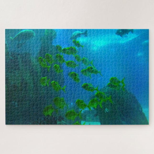Peces tropicales en un acuario. Rompecabezas (Horizontal)
