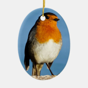 Pechuga roja Robin para Ornamento Oval