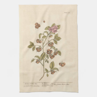 Peco Tea de Elizabeth Blackwell Toalla de té