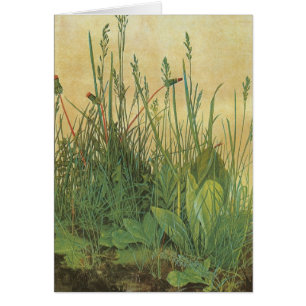 Pedazo grande de césped