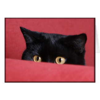 Peek-a-Boo