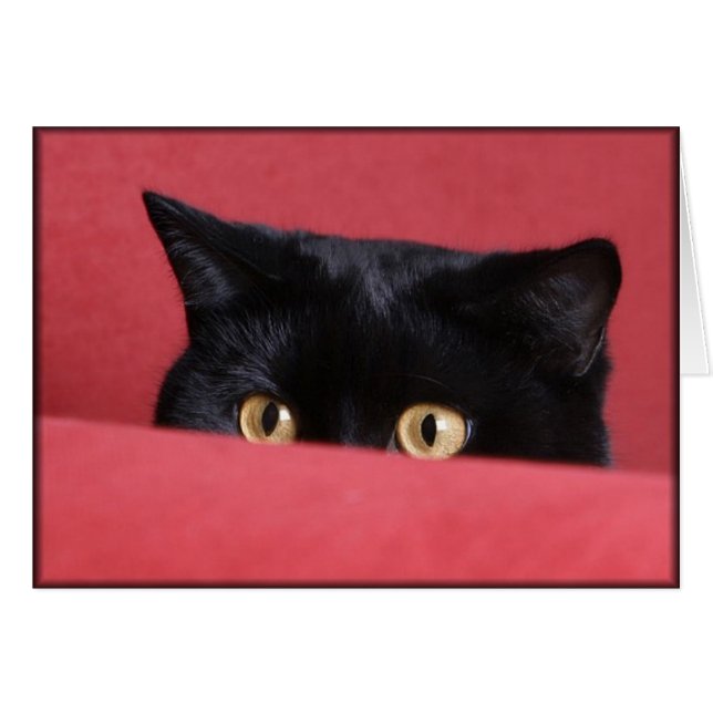 Peek-a-Boo (Anverso (Horizontal))