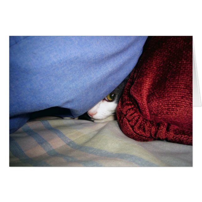 Peek a Boo (Anverso (Horizontal))