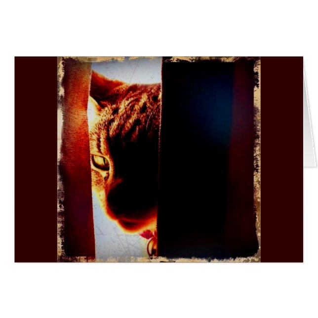 Peek-a-boo Indigo (Anverso (Horizontal))