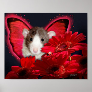 ¡Peek-a-boo! Póster