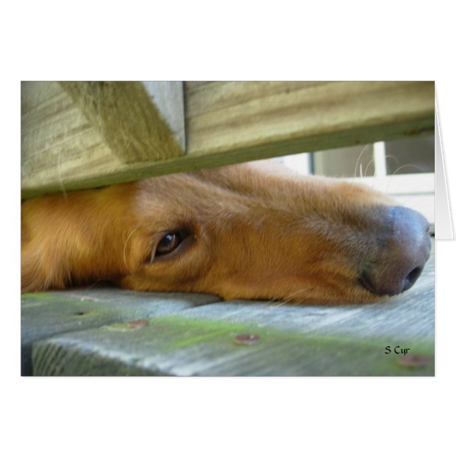 Peeking, S Cyr (Anverso (Horizontal))