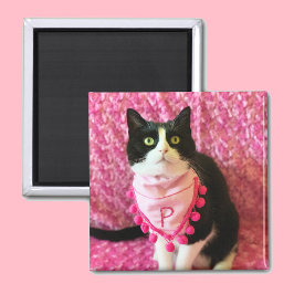 Pega el imán rosa del gato de Tuxedo