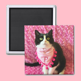 Pega el imán rosa del gato de Tuxedo