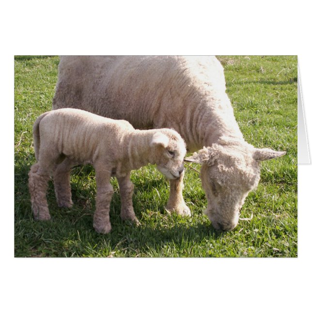 Pegar cierre (Anverso (Horizontal))