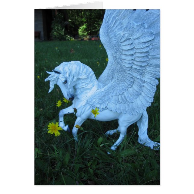 Pegasus blanco (Frente)