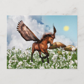 Pegasys en una postal de campo