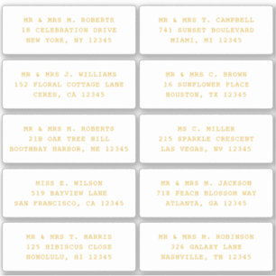 Pegatina 10 Boda del Fiesta de la dirección de invitado ind