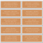 Pegatina 10 Nombre de invitado particular Dirección Champag<br><div class="desc">10 La dirección de nombre de invitado individual La etiqueta Celestial Champagne Gold Wedding Stickers incluye 10 pegatinas con su nombre de invitado y dirección individual de cada pegatina en el guión de champán con un fondo marrón dorado. También es perfecto para Navidades y tarjetas de vacaciones, invitaciones a fiestas,...</div>