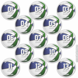 Pegatina 13 basketball stickers set blue green team colors 