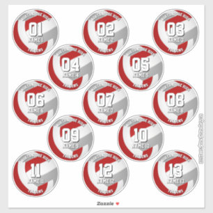 Pegatina 13 jugadores de voleibol de colores grises rojos d