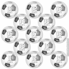 Pegatina 13 soccer stickers w black gray team colors