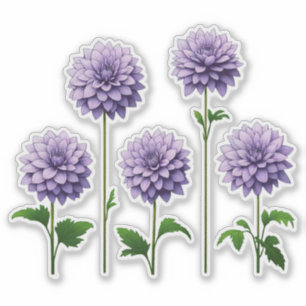 Pegatina 5 Dalia Lavanda (brillante)