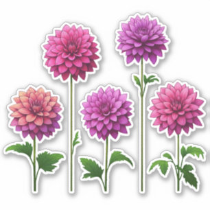 Pegatina 5 Rosa - Dalia Púrpura (brillante)