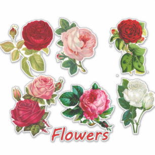 Pegatina 7 Rosas hermosos para Scrapbooking