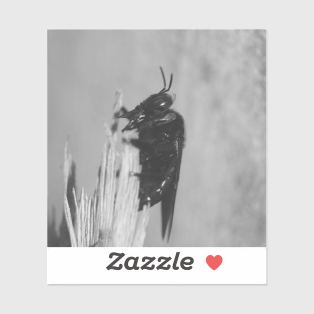 Pegatina Abejorro (Hoja)