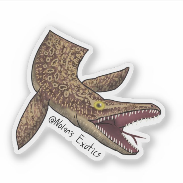 Pegatina Ackie monitor-Mosasaurus sticker (Anverso)