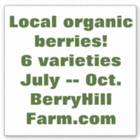 Aclavamiento de vinilo blanco extraíble, promoción