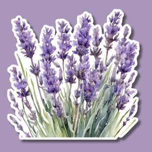 Pegatina Acuarela Lavanda salvaje impermeable