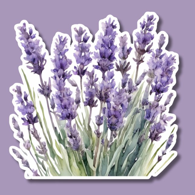Pegatina Acuarela Lavanda salvaje impermeable (Subido por el creador)