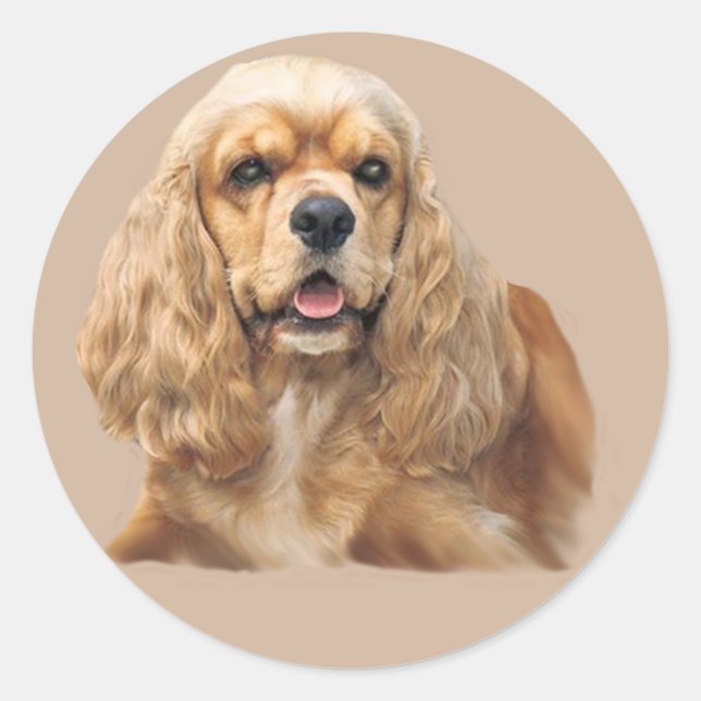 Pegatina adorable de cocker spaniel apenas (Anverso)
