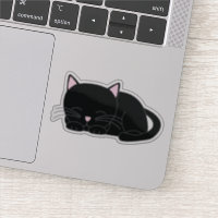 Adorable Napping Black Kitten