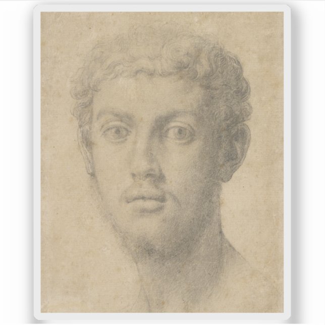 Pegatina Agnolo Bronzino - Jefe de un hombre (Anverso)