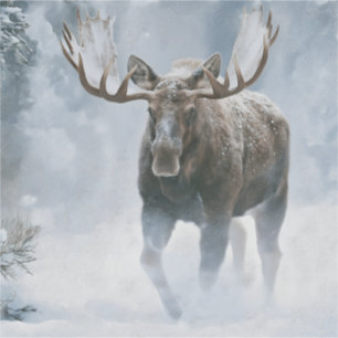 Pegatina Alce Macho Caminando a Través de la Nieve Boreal