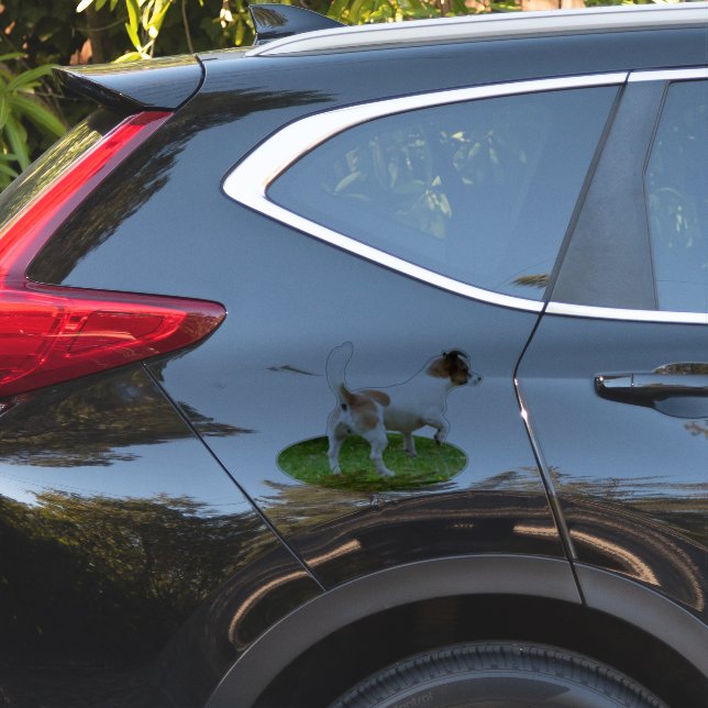 Pegatina Alerta de Zorro Terrier en miniatura, (Lado del coche)