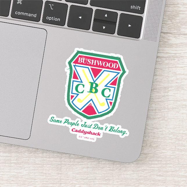 Pegatina Algunas personas simplemente no pertenecen (Detalle)