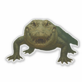 Pegatina Alligator Cut-out Sticker