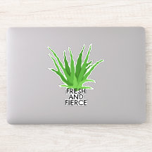 Aloe vera Suculento Fresco y Fierce