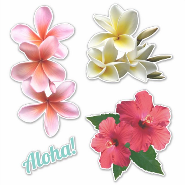 Pegatina Aloha Hawaiian Flowers Plumeria Hibiscus  (Anverso)