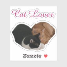 Amante de los gatos con corazón de gato