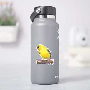 Pegatina americano Goldfinch