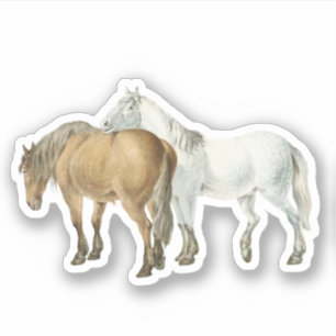 Pegatina Amistad de Caballo te Apoya Ecuestre Vintage 