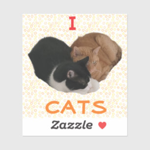 Pegatina Amo a los gatos con corazón de gato