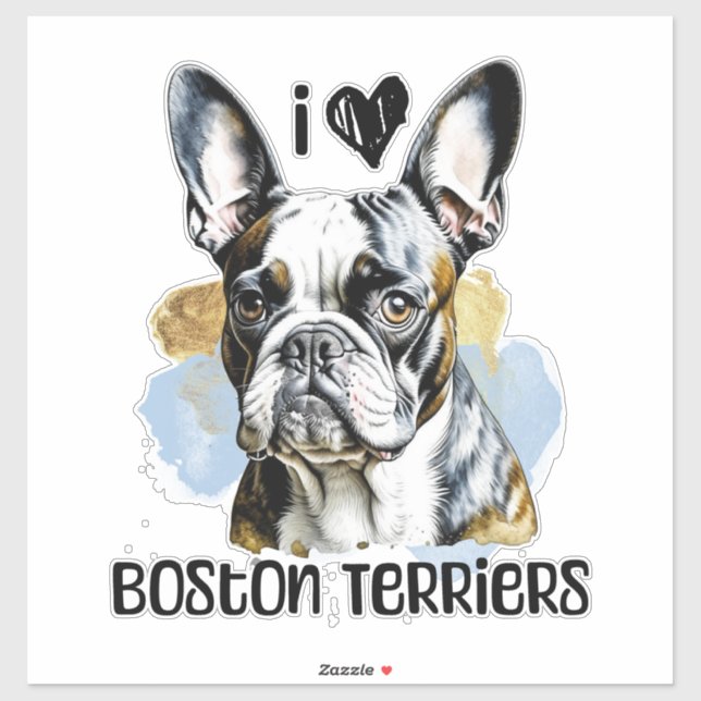 Pegatina Amo los Territorios de Boston (Hoja)