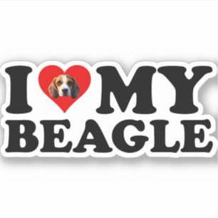 Pegatina Amo Mi Beagle