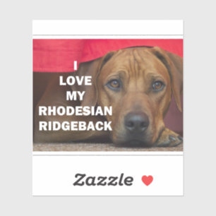 Pegatina amor de rhodesian-ridgeback con foto