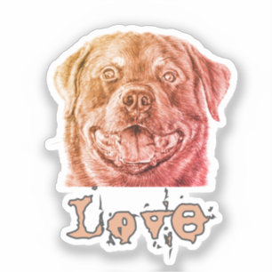 Pegatina Amor Rott