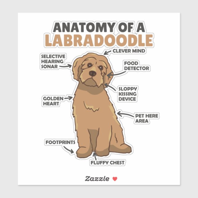 Pegatina Anatomía De Un Cachorro De Cañón De Labradoodle (Hoja)