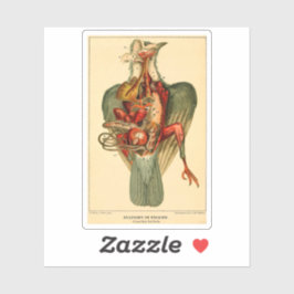 Pegatina Anatomía de una paloma